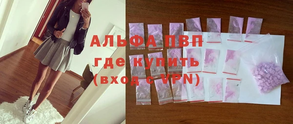 сатива Осинники