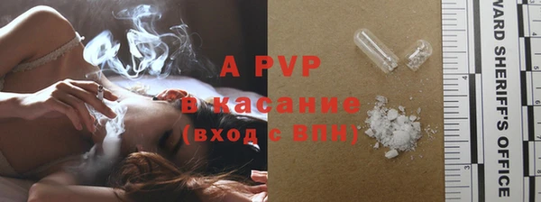 сатива Осинники