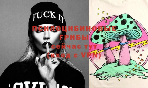 сатива Осинники