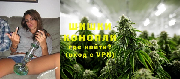 сатива Осинники