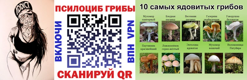 где купить наркоту  Райчихинск  Галлюциногенные грибы Psilocybine cubensis 